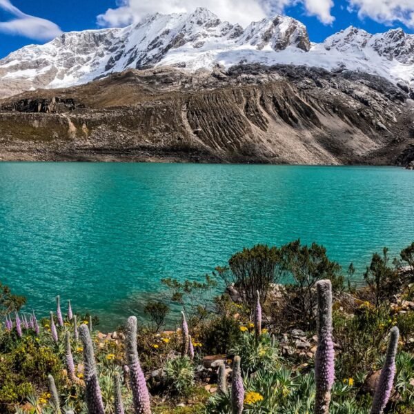 Laguna Rocotuyoc